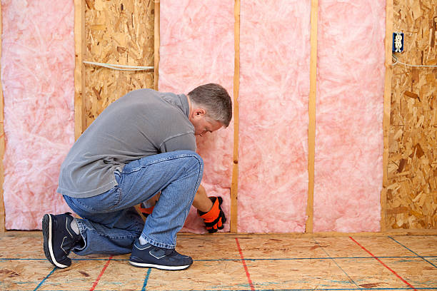 Best Spray Foam Insulation in Centrevle, IL