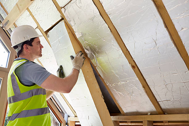 Best Specialized Insulation Services in Centrevle, IL